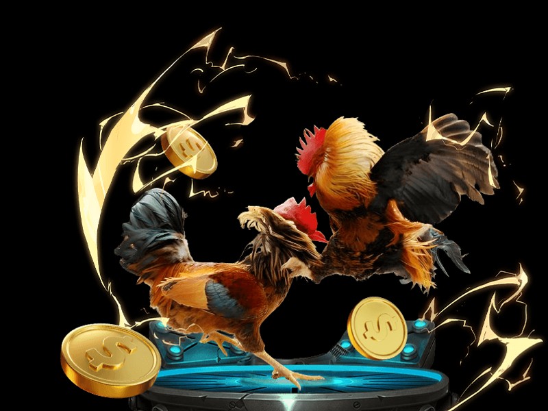 Hình ảnh bàn chơi Omaha Poker